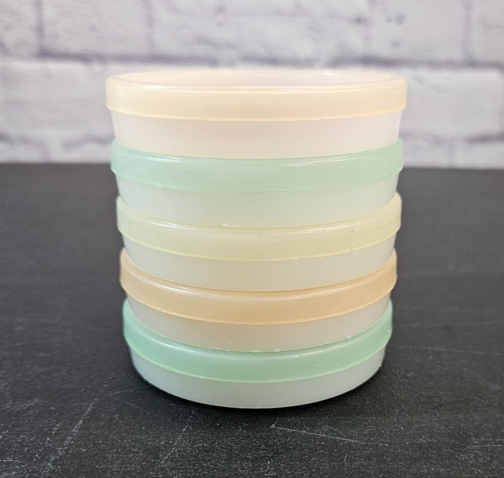 Vintage Tupperware Citrus Slice Drink Coasters Set of 5 Pastel Retro Barware